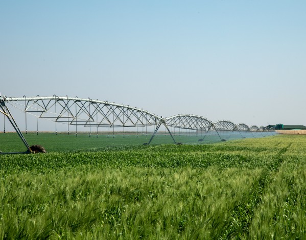 ระบบชลประทานแบบ Center Pivot 168kWp ของ JNTECH ขับเคลื่อนด้วยพลังงานแสงอาทิตย์ได้รับการดำเนินการอย่างประสบความสำเร็จในซิมบับเว