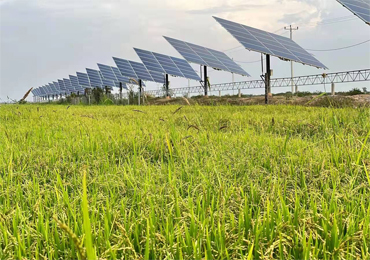 ระบบปั๊มพลังงานแสงอาทิตย์ขนาด 55kW ในกัมพูชา